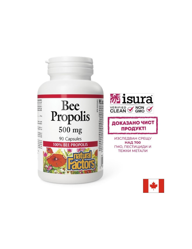 Bee Propolis / Прополис 500 mg х 90 капсули Natural Factors