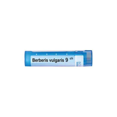 BERBERIS VULGARIS 9 CH  BOIRON