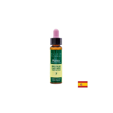 Brote de castaño (Chestnut but) Elixir Floral 7 - Цветен еликсир от кестенова пъпка, 10 ml Artesania