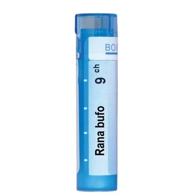 RANA BUFO 9 CH