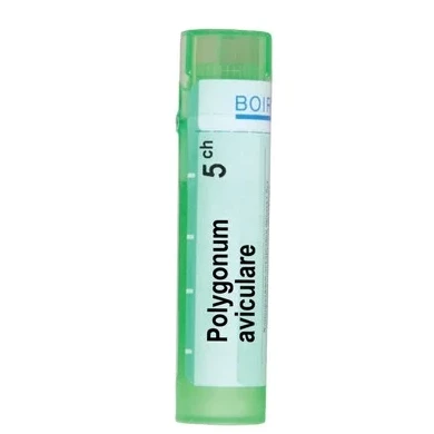 POLYGONUM AVICULARE 5 CH