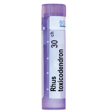 RHUS TOXICODENDRON 30 CH
