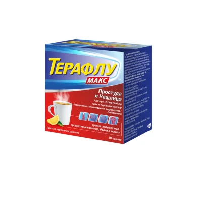 ТЕРАФЛУ МАКС саше x 10