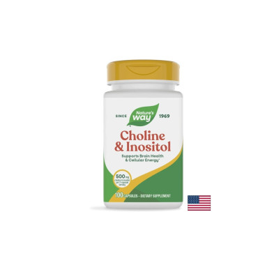 Choline & Inositol –Холин и инозитол - Невропротекция и метаболитен профил, 500 mg, 100 капсули Nature’s Way