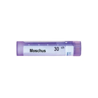MOSCHUS 30 CH