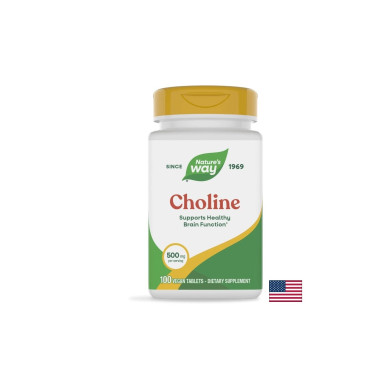 Choline/ Холин 500 mg х 100 таблетки Nature’s Way