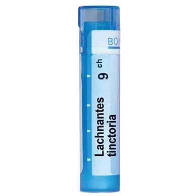 LACHNANTHES TINCTORIA 9 CH