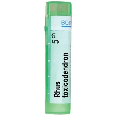 RHUS TOXICODENDRON 5 CH