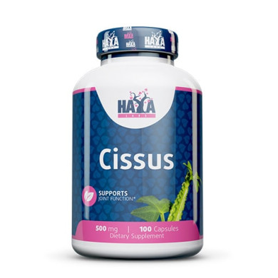 Haya Labs  Cissus 500mg / Цисус 500мг / 100 Caps