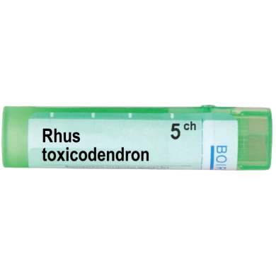RHUS TOXICODENDRON 5 CH