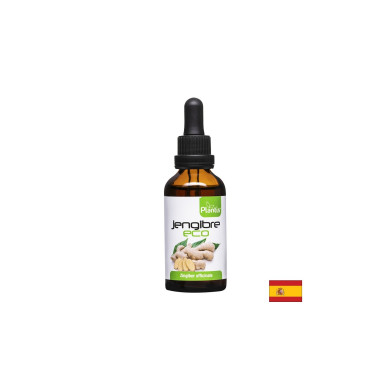 Jengibre Eco – Джинджифил (тинктура), 50 ml Artesania