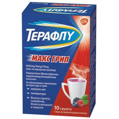 ТЕРАФЛУ МАКС ГРИП 1000МГ/10МГ/70МГ САШЕ Х 10