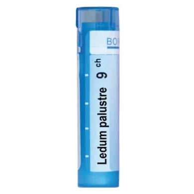 LEDUM PALUSTRE 9 CH