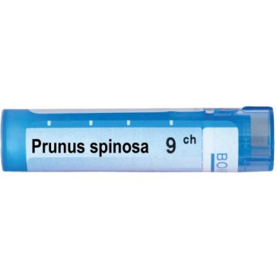 PRUNUS SPINOSA 9 CH