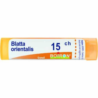 BLATTA ORIENTALIS 15CH  BOIRON