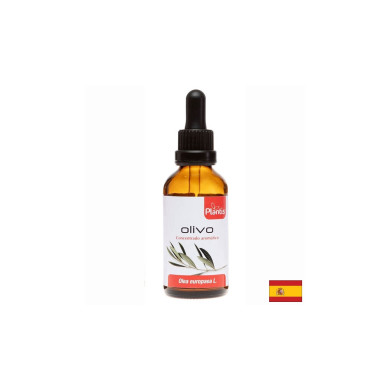 Olivo/ Маслина (лист), (тинктура)/ Сърдечно-съдова система, 50 ml Artesania