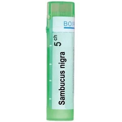 SAMBUCUS NIGRA 5 CH