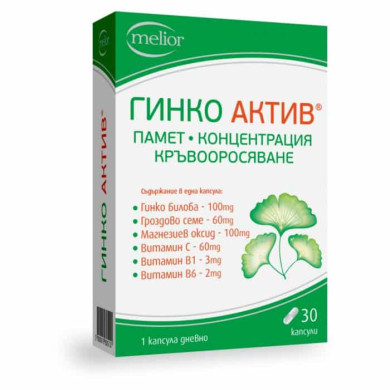 ГИНКО АКТИВ капсули х 30 DOYCH