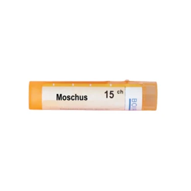 MOSCHUS 15 CH