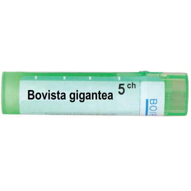 BOVISTA GIGANTEA 5 CH BOIRON