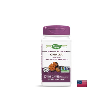 Chaga / Чага 480 mg x 30 капсули Nature’s Way