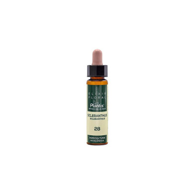 Scleranthus Elixir Floral 28 - Цветен еликсир от едногодишна хрущялка, 10 ml Artesania