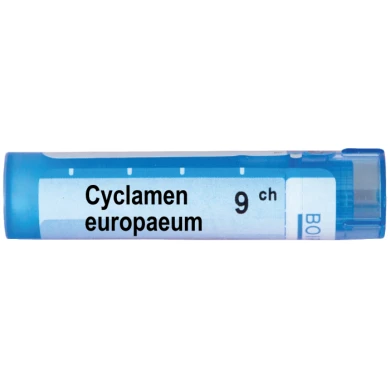 CYCLAMEN EUROPAEUM 9 CH