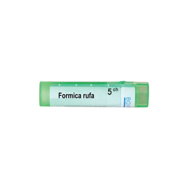 FORMICA RUFA 5 CH