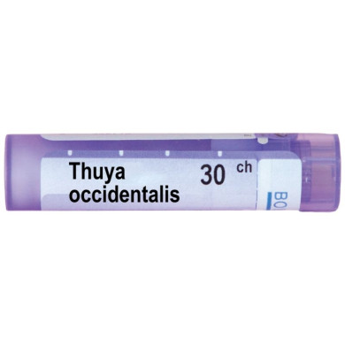 THUYA OCCIDENTALIS 30 CH