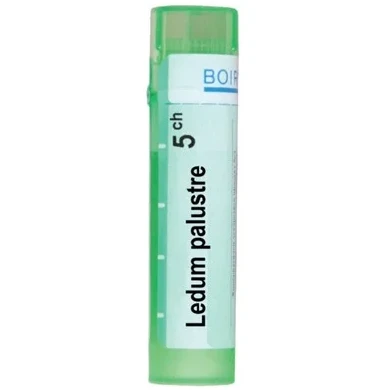 LEDUM PALUSTRE 5 CH