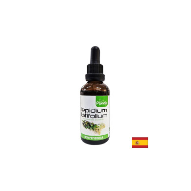 Бъбреци и отделителна система - Широколистна горуха (тинктура), 50 ml капки